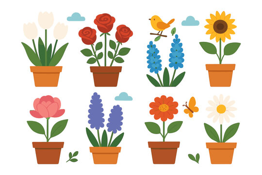 Colorful potted flowers and birds illustration in flat style