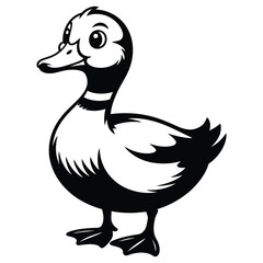 duck vector illustration