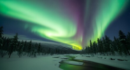 Photo of vibrant green and purple aurora borealis dances across the night sky over snowy forest