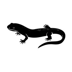 White outlines amphibian illustration. Simple, minimalist vector for science, education, or design projects, branding, websites, and social media.