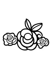 flower Essence is a charming ...