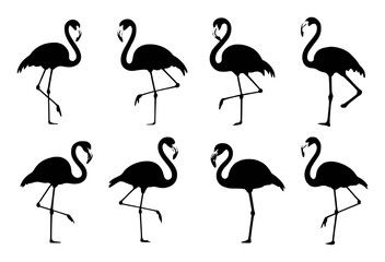 Collection of Black Flamingo Silhouettes on a White Background