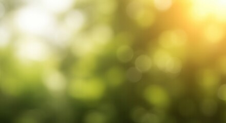 Golden sunlight filters through vibrant green leaves creating a soft, natural bokeh background for your designs.