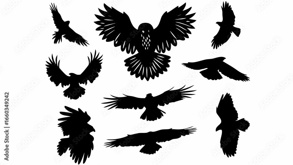 Poster silhouetted birds of prey in various flying poses against a white background creating a dynamic comp