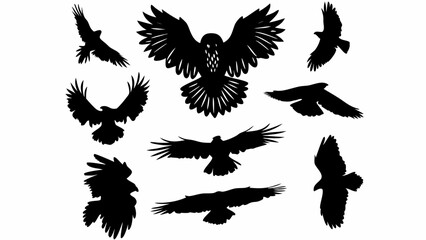 Obraz premium Silhouetted birds of prey in various flying poses against a white background creating a dynamic composition | editable eps vectors