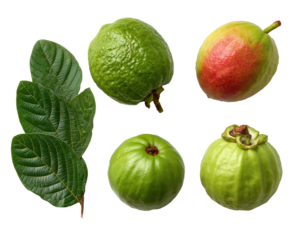Four guava fruits and leaves arranged in a grid.  Two are a vibrant green, two are a mixture of green and reddish-pink.  Leaves are a deep green with visible veins.  Isolated on a black background