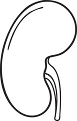 Kidney Icon Illustration | Kidney Organ | Human Kidney Structure Icon | Kidney Function Symbol | Kidney Anatomy Icon