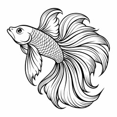 black and white fish