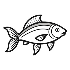 fish on a white background