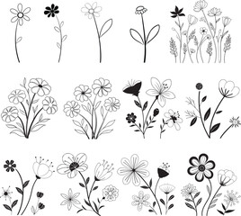 Black and white floral illustration set with simple hand-drawn flowers and leaves, elegant botanical line art perfect for patterns, packaging, greeting cards, and minimalist decor projects.