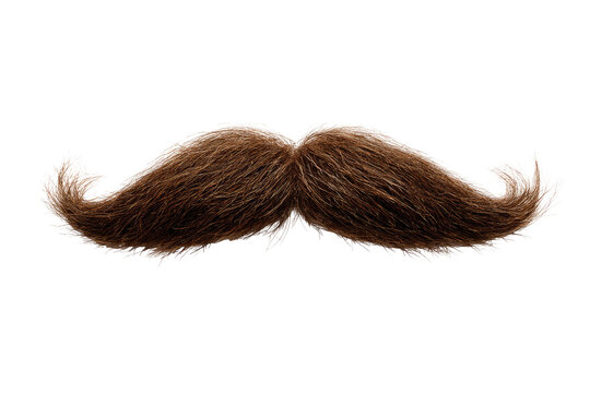 A detailed, realistic-looking brown handlebar mustache against a black background