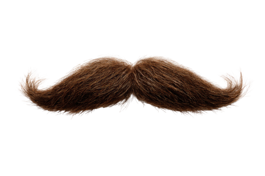 A detailed, realistic-looking brown handlebar mustache against a black background