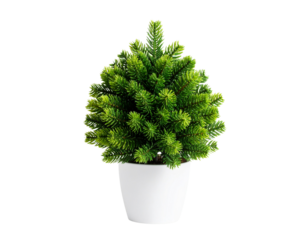 Artificial Pine Tree in Elegant White Pot, Seasonal Festive Home Décor PNG.