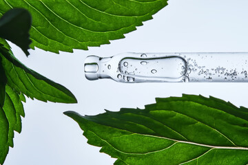 A pipette with serum in mint leaves.