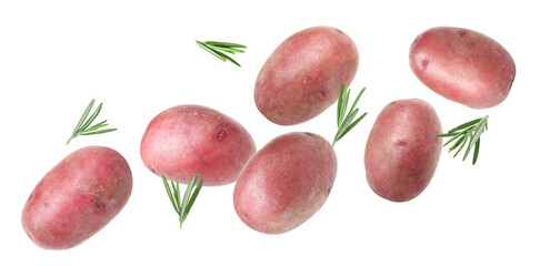 Fresh red potatoes with rosemary flying on white background