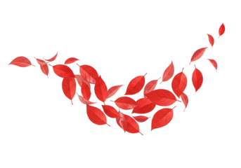 Red autumn leaves swirling isolated on transparent background