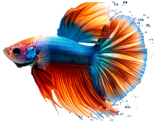 Dynamic Fish Leap - Transparent Background PNG Image