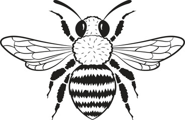 Bee, wasp isolated on a white background, bee, bumblebee