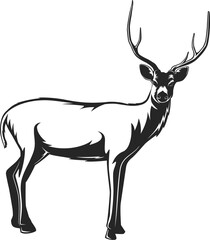 deer silhouette isolated on white