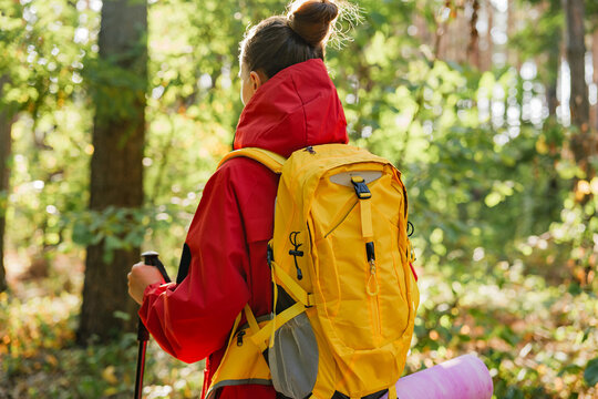 A back view of a woman with a bright yellow backpack and a red jacket, using trekking poles while hiking in a forest.