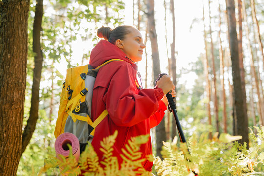 A female hiker in a red jacket and yellow backpack is walking with trekking poles through a sun-drenched forest, looking determined. - Powered by Adobe
