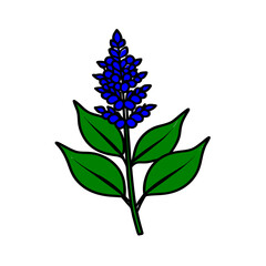  astilbe flower line art vector