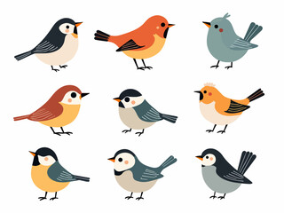 collection of birds