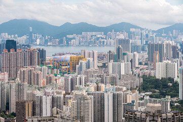 Naklejka premium View of Hong Kong and Kowloon from Lion Rock Head. Panorama of Hong Kong, skyscrapers and nature.