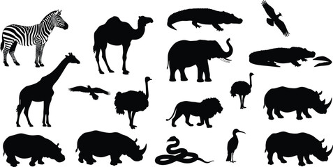 Naklejka premium wild animal silhouettes, African safari wildlife, exotic birds and reptiles, vector illustration, nature creatures collection, black outline design, educational animal shapes