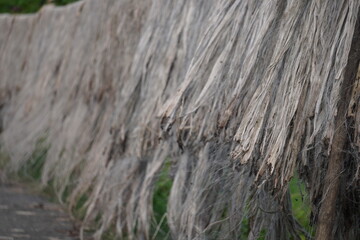 Close-up of the raw jute fibre