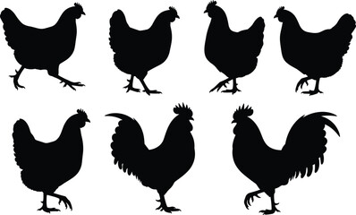 Seven chicken and rooster silhouettes in varied poses, detailed vector illustration for farm animal themes, poultry design, decoration, and educational projects