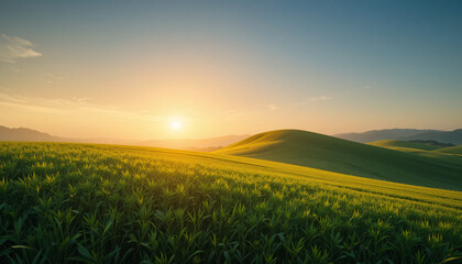 Fototapeta premium Golden sunrise over lush green farmland hills, scenic countryside landscape, agricultural field, rural morning nature, peaceful outdoor travel destination