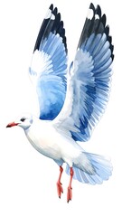 Obraz premium A stylized seagull in flight