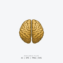 Brain logo for a modern educational or technology brand, Minimalist human brain vector for neuroscience and mental health, Creative and innovative brain icon for a startup or digital company