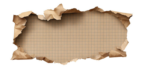 Fototapeta premium Torn aged brown paper sheet with grid lines isolated on transparent background.