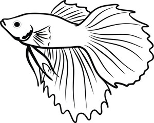 Betta Fish Fighting Fish Line Art Vector – Elegant Stylized Illustration