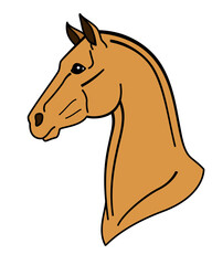 The head of a bay horse symbolizes 2026, a portrait of a graceful animal - a full-color vector image of the animal.