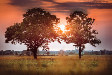 Zachód słońca między drzewami © Radosław Dybała