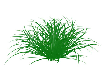 Green grass clump vector illustration with natural foliage detail, ideal for landscaping, lawn decoration, garden design, and eco-friendly projects. Fresh meadow bush silhouette. Simple greenery 