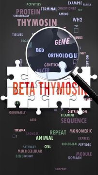 Beta Thymosin under magnifying glass, being researched, studied and examined. Most important subjects and ideas closely related to beta thymosin written around a puzzle.