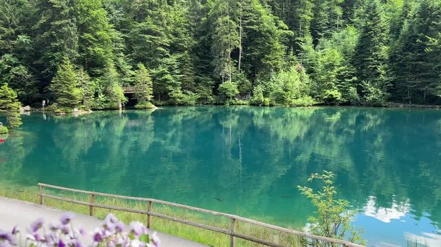 Crystal-clear Blausee lake in Switzerland, where the water is so transparent you can see fish swimming below. Pristine alpine nature, peaceful atmosphere, and stunning natural beauty. Kandergrund 