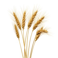 Close-up view of golden wheat stalks, embodying natural harvest and agricultural abundance. The intricate details and golden hues showcase nature's beauty 