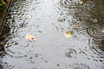 High angle view of puddle with falling raindrops and leaves at asphalt pathway at Swiss city of Zürich on a rainy summer day. Photo taken August 21st, 2025, Zurich Schwamendingen, Switzerland.