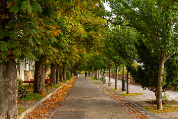 Quiet autumn alley in Buda Old Town with yellow trees, fallen leaves, benches, and distant cyclist, creating peaceful atmosphere. Budapest, Hungary.

