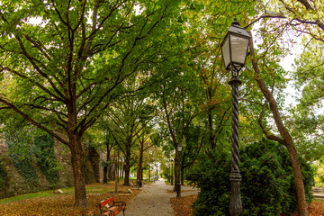 Tree-lined alley in Europa Park near fortress wall with historic-style lanterns, benches, and...