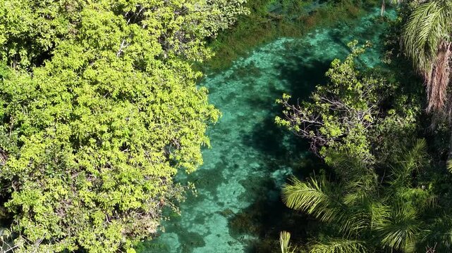 Aerial view of Nascente Azul River - crystal clear river in an area of ​​limestone soil - Bonito, Mato Grosso do Sul, Brazil