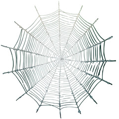 Obraz premium Symmetrical Spider Web with Morning Dew Drops
