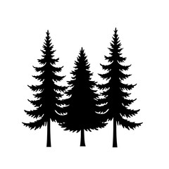 Fototapeta premium Three Evergreen Pine Trees in a Bold Minimalist Black Silhouette Graphic.