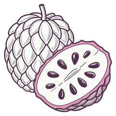 victor illustration of atemoya  on white background