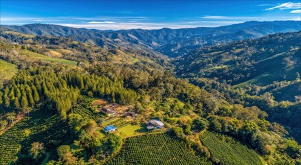 Lush coffee plantation nestled in a valley between rolling hills.